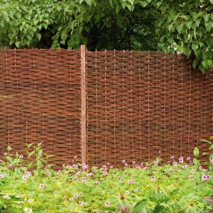 Fence 