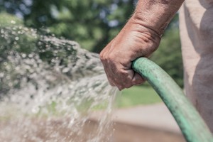 hand watering