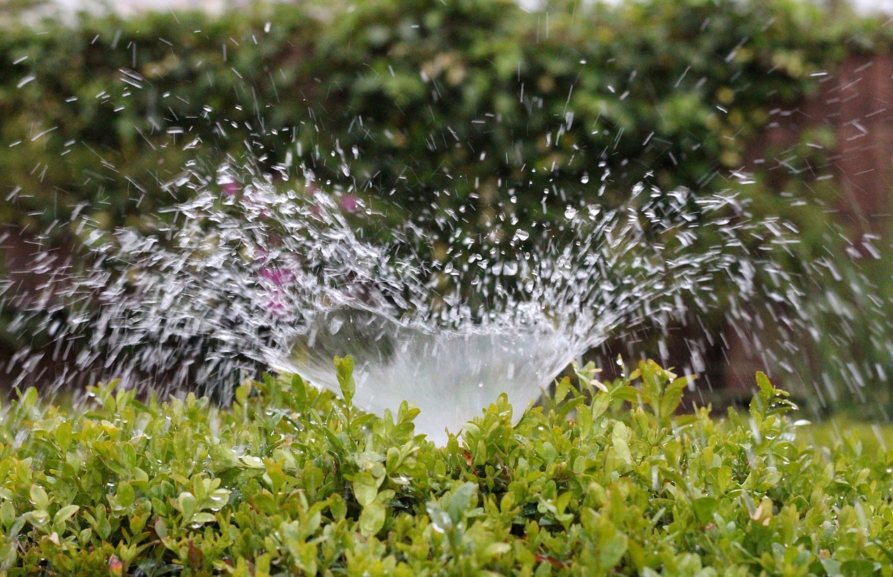 Irrigation system